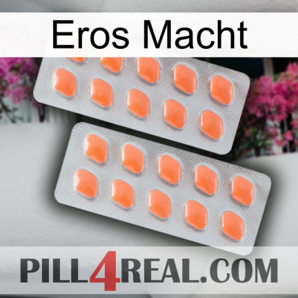 Eros Power 27